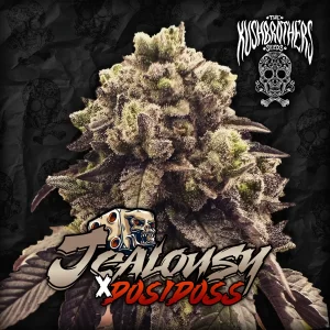 Jealousy x Dosidoss